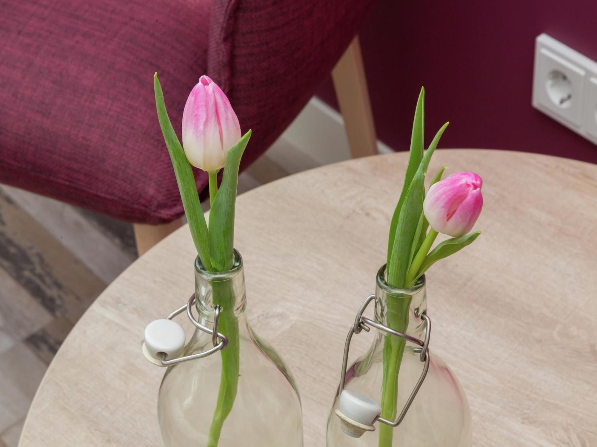 Luxury Apartment With Sun Shower At The Edge Of The Beautiful Oostkapelle Eksteriør bilde
