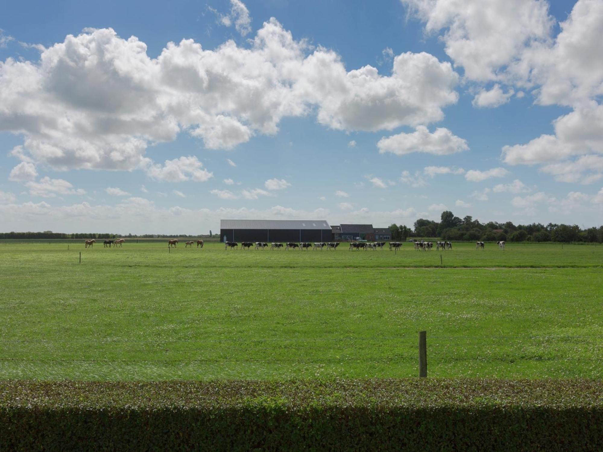 Luxury Apartment With Sun Shower At The Edge Of The Beautiful Oostkapelle Eksteriør bilde